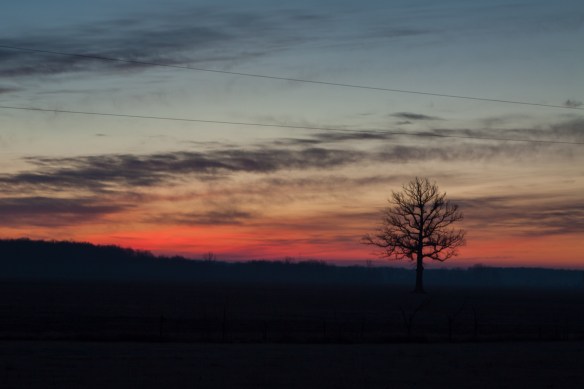 christmas morning, 2012