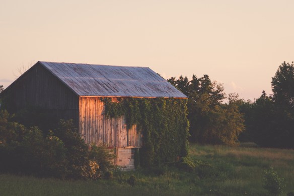 barn light.