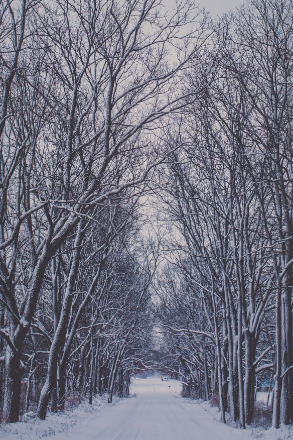 winter is here. dang it.